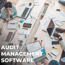 Audit Management Software
